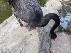 -汕头蓝水星欢乐世界