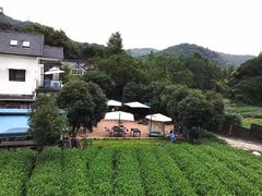 -自在弥林花园餐厅(云栖店)