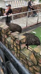 -金庭庄园酒店彩虹厅