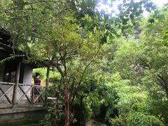 -苍山感通索道