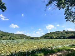 -李小龙乐园(顺德均安店)