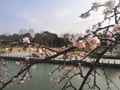 -白塘生态植物园