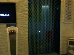 -深圳东部华侨城瀑布酒店