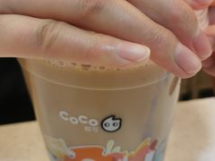 -CoCo都可(常德路店)