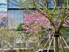 -深圳湾万象城(南山店)