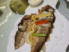 -骏莱海鲜鱼港(五角场店)