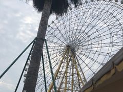 -国色天乡三期陆地乐园