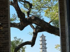 -江心屿景区