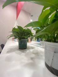 点击看大图 -晶奕空间专业脱毛连锁机构