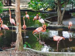 -清迈夜间动物园