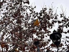 -海兰云天度假区温泉