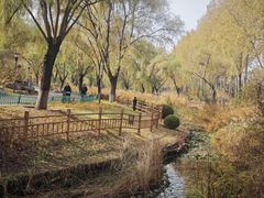 -燕郊植物园