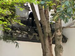 -煮雨小筑(斜塘老街店)
