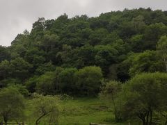 -大水川景区