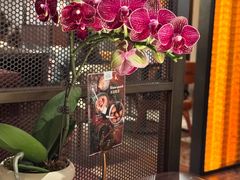 -OGGI TRATTORIA PIZZERIA(深业上城店)