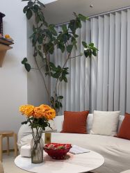 -WENDY·温迪皮肤管理