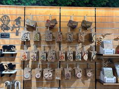 -怀托摩萤火虫洞