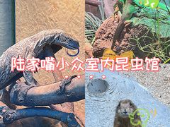 -上海大自然野生昆虫馆(东方明珠·爬宠昆虫探索中心)