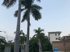 -三亚中亚国际大酒店