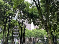 -重庆市江北嘴中央商务区中央公园