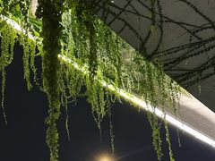 -麦当劳(杭州西湖银泰百货店)