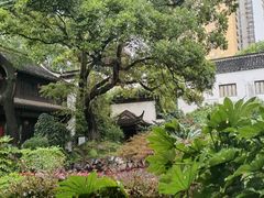-南京市民俗博物馆(甘熙故居)