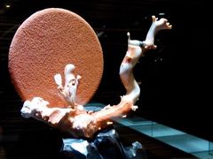 -绮丽珊瑚(台北101旗舰门市店)