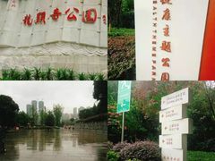 -龙头寺公园