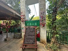 -西双版纳原始森林公园