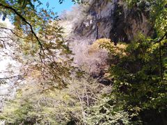 -北京上方山国家森林公园