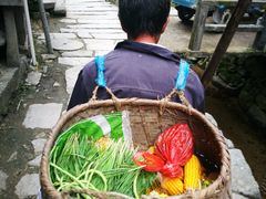-灵山景区梯田