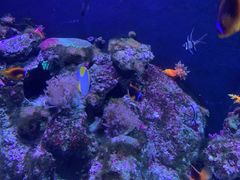 -成都浩海立方海洋公园