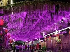 -婺源梦里老家大型山水实景演出