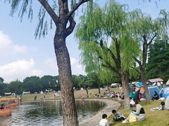 -黄兴公园