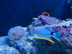 -成都浩海立方海洋公园