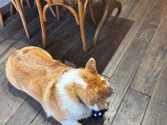 -肥朵食堂(带梦胡同店)