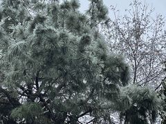 -临平公园(临平街道)