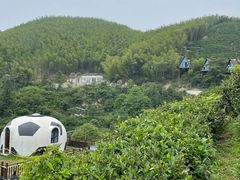 -长沙黑麋峰国家森林公园