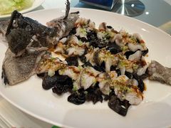 石锅古法蒸老虎斑-利苑酒家(华熙国际店)