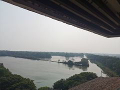 -大湾区中央湿地公园