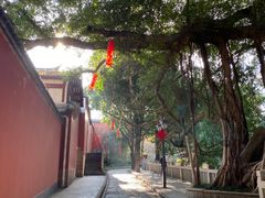 -乌山风景区