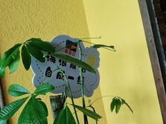 -前海沿·青岛菜(大拇指广场石老人店)