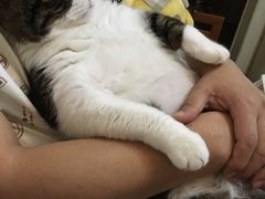 -爱派特动物医院·全科诊疗中心