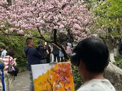 -西安青龙寺遗址景区