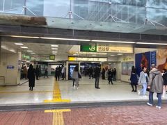-涩谷全向十字路口