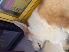 -平行世界·猫咖(首经贸店)