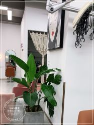 -icare美发沙龙