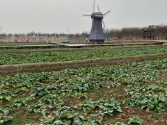 -武汉紫薇都市田园