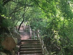 -太平万花山景区