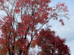 -云南艺术学院(呈贡校区)